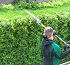 Hedge & Shrub Trimming 